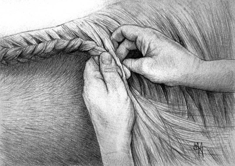 800x565 Braiding Hair - Braided Hair Drawing