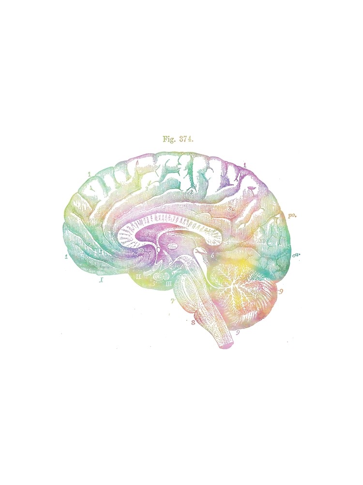 750x1000 Ancient Brain Drawing - Brain Drawing