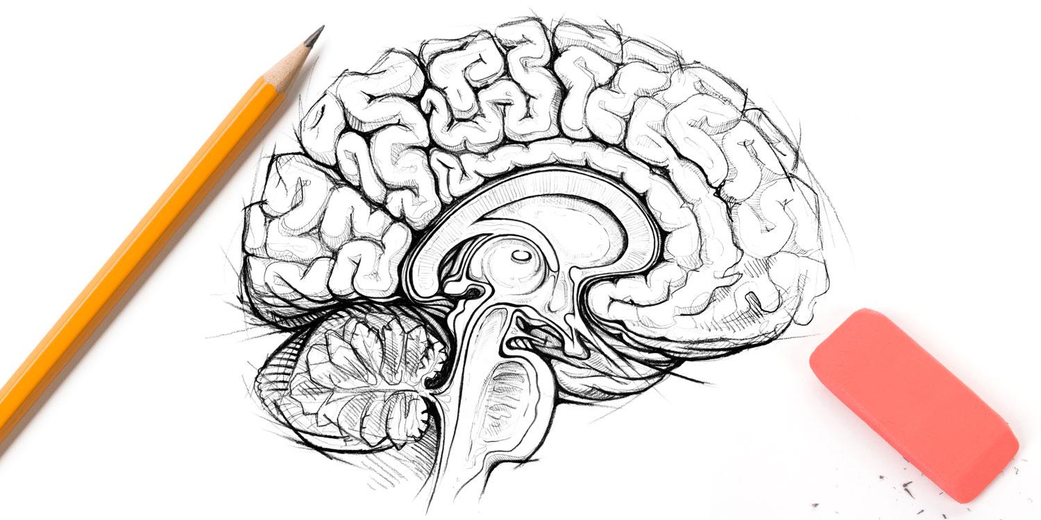 1500x750 Brain Care Natural Foods Market - Brain Drawing