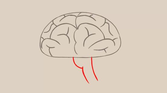 550x309 Ways To Draw A Brain - Brain Drawing