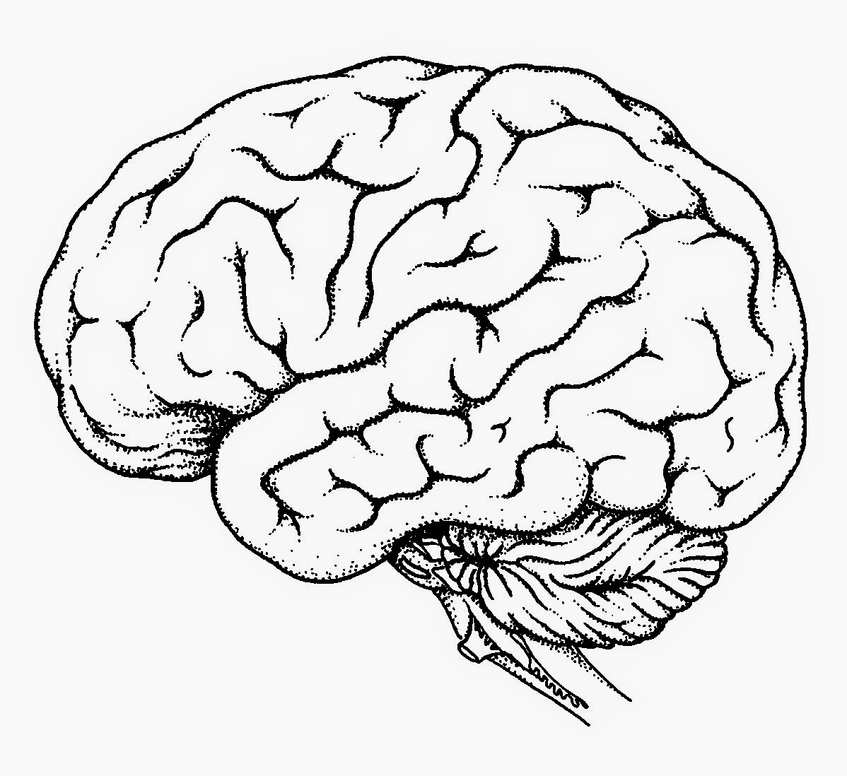 1198x1098 Brain Drawing Simple For Free Download - Brain Drawing