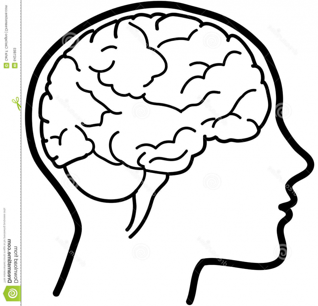 1024x987 Brain Drawing Easy For Free Download - Brain Drawing
