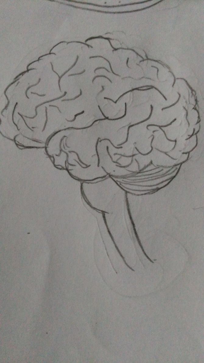 670x1191 Ways To Draw A Brain - Brain Drawing Art