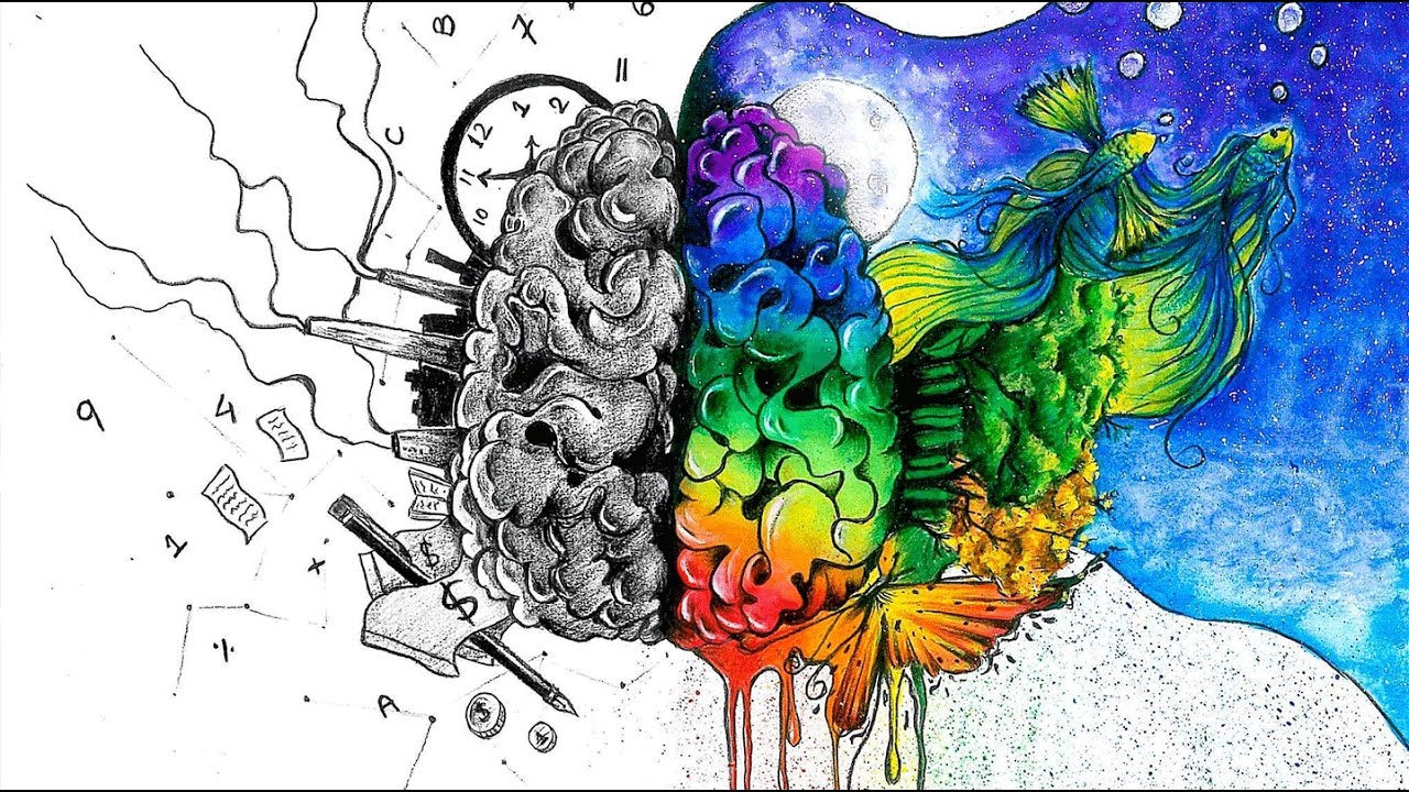 1280x720 The Left Brain Vs Right Brain Myth Analysis Art - Brain Drawing Art