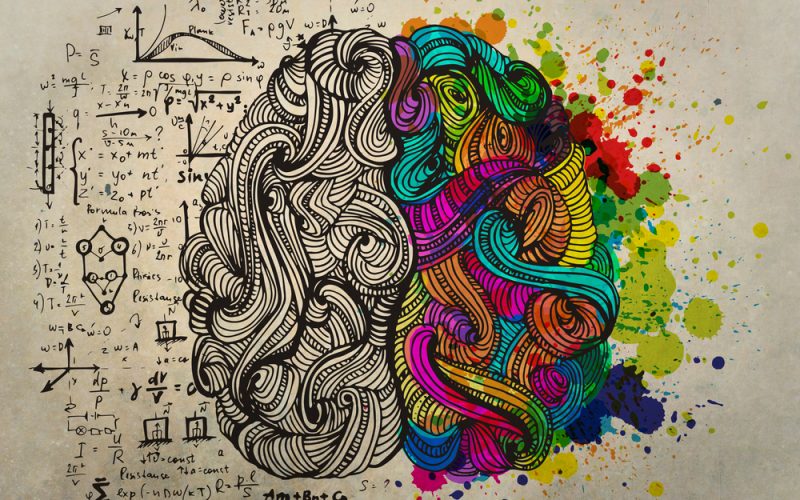 800x500 Your Brain On Art Think - Brain Drawing Art