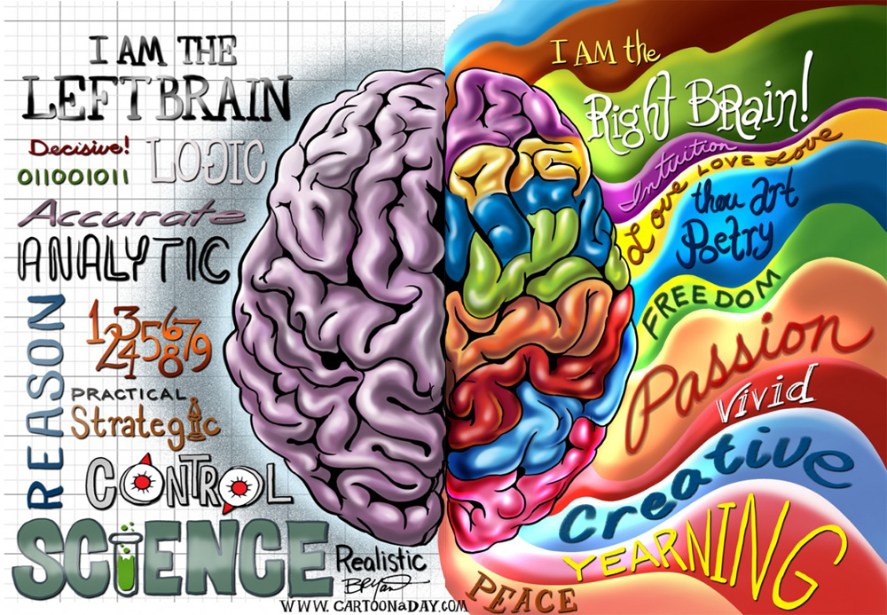 1000x693 Are You Right Brained Or Left Brained - Brain Drawing Art
