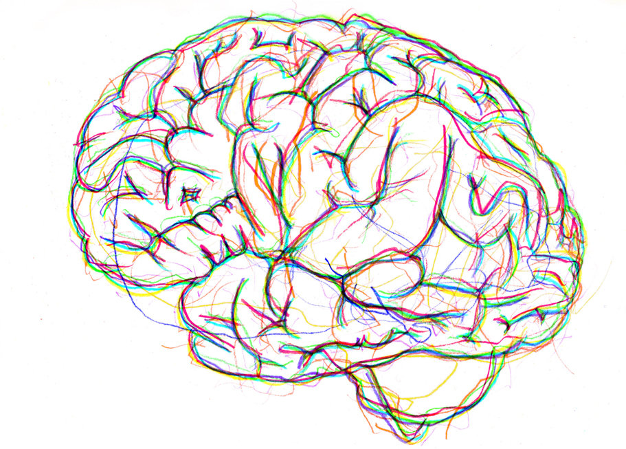 911x653 Drawn Brain Drawing - Brain Drawing Images