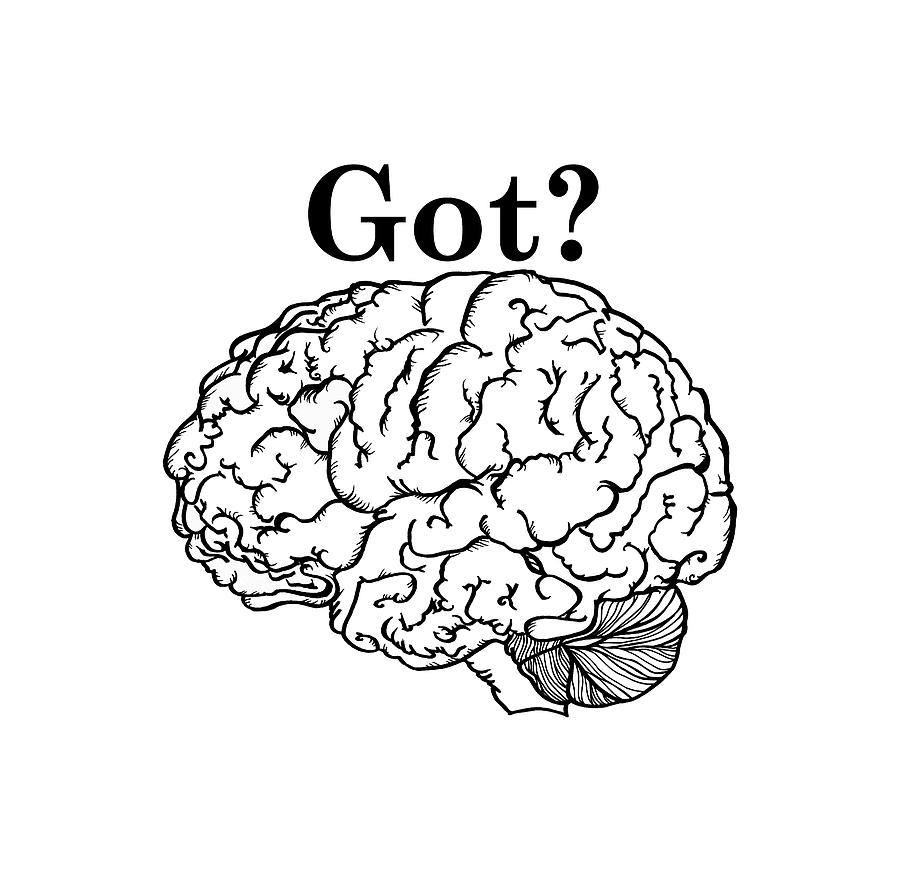 900x882 Got Brain Drawing - Brain Drawing Images