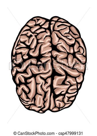 337x470 hand drawn colored brain color sketch of the brain colored hand - Brain Drawing Images
