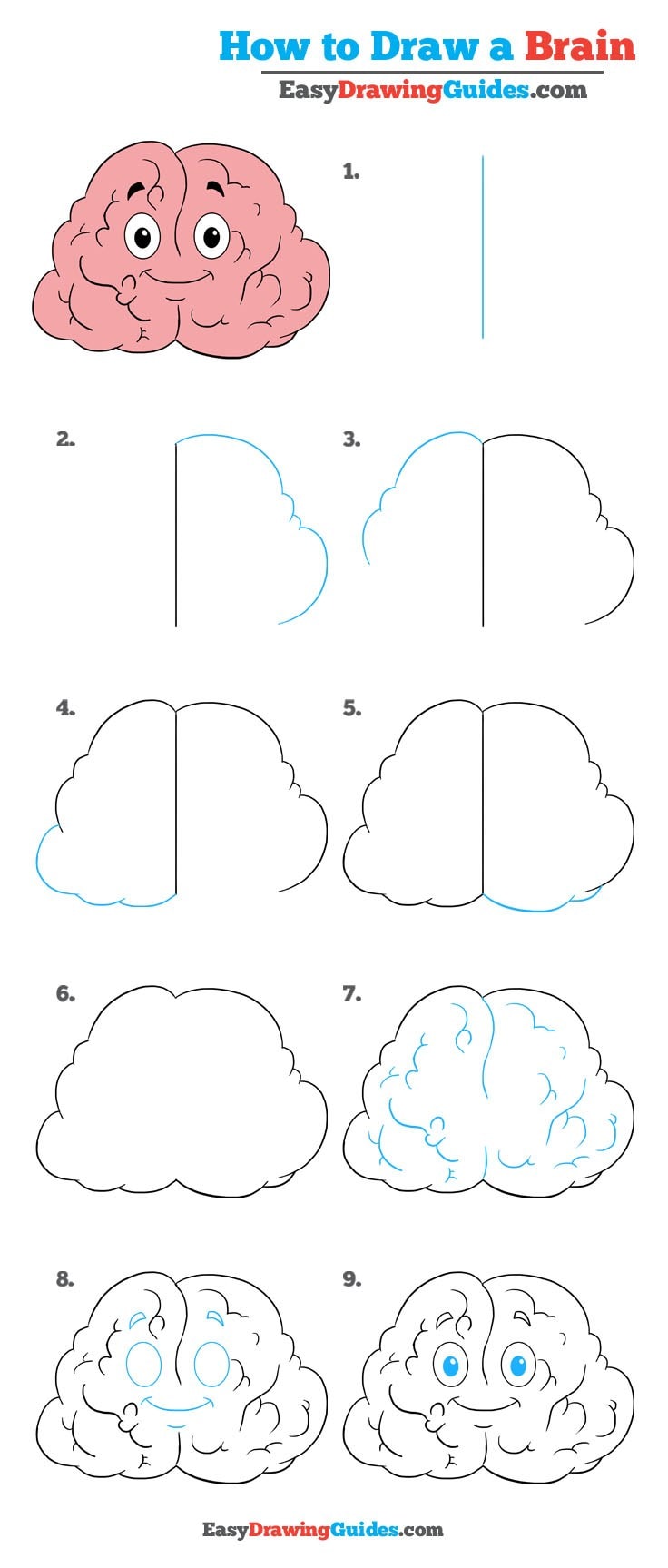 736x1727 How To Draw A Brain - Brain Drawing Images