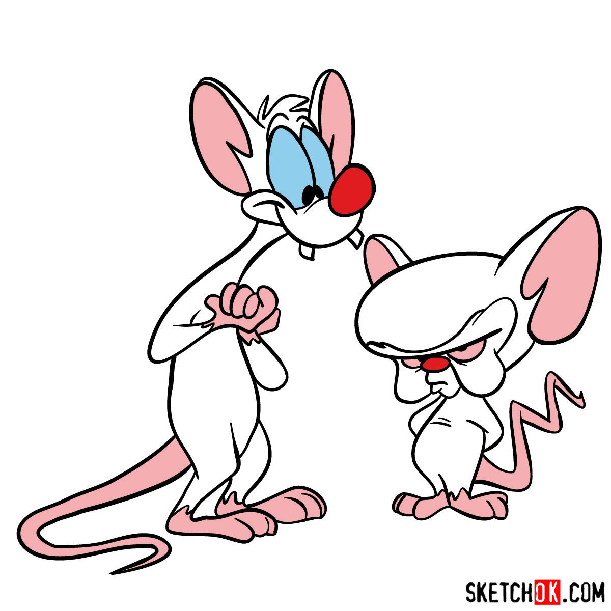 1200x1200 How To Draw Pinky And The Brain Together - Brain Drawing Images