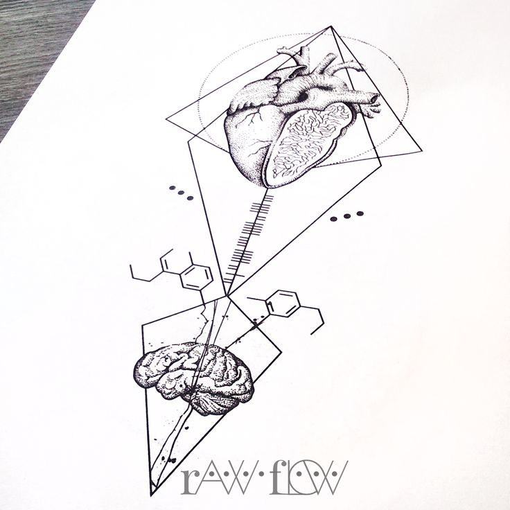 Brain Drawing Tumblr