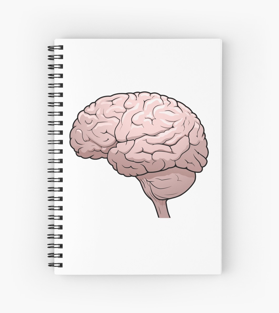1171x1313 Human Brain Drawing Spiral Notebooks - Brain Drawing Tumblr