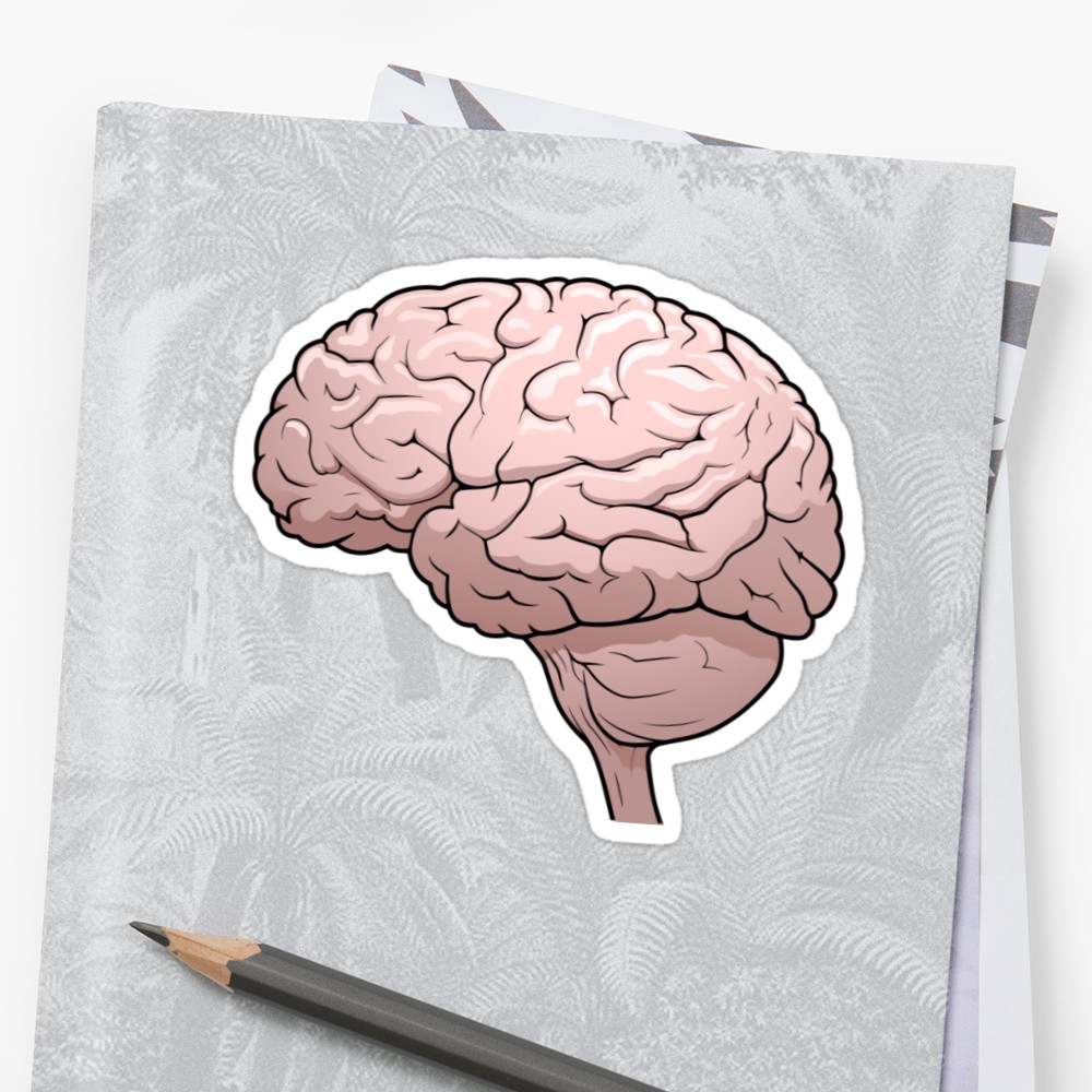 1000x1000 Human Brain Drawing Sticker - Brain Drawing Tumblr