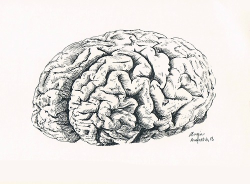 500x368 Image About Drawing In Asjtjusnthsgnrejdebed - Brain Drawing Tumblr