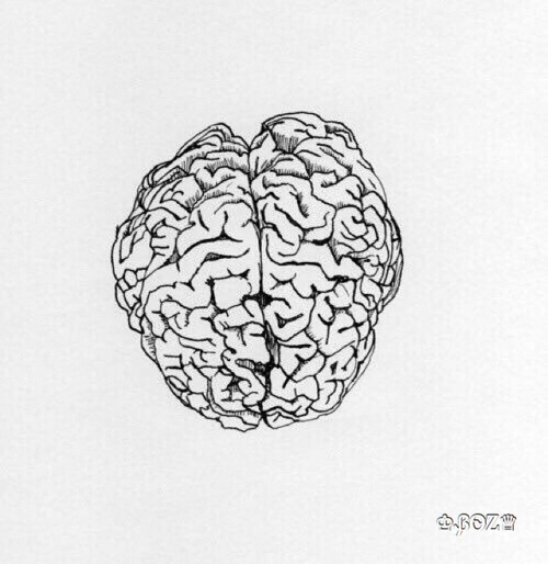 500x514 Image About Tumblr In Black White - Brain Drawing Tumblr