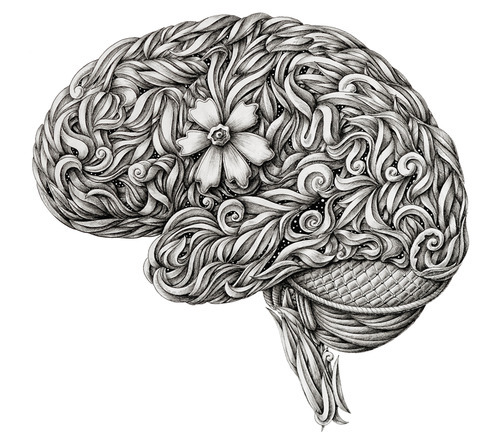 500x448 Drawing Illustration Art Contemporary Art Anatomy Artist On Tumblr - Brain Drawing Tumblr