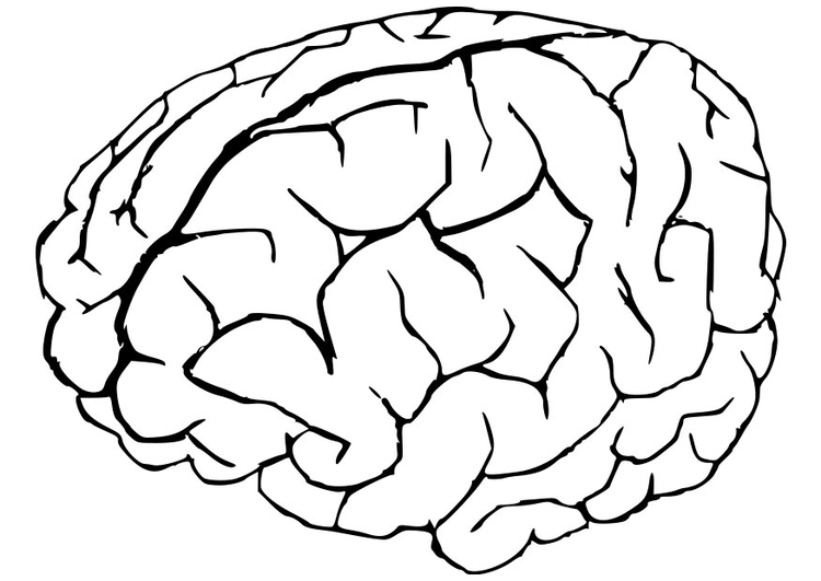 750x531 Brain Drawing Tumblr - Brain Drawing Tumblr