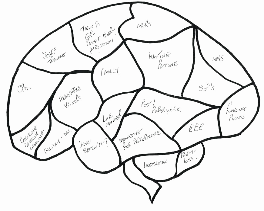 871x699 Simple Brain Diagram Elegant Simple Brain Diagram Great Memory - Brain Drawing With Labels