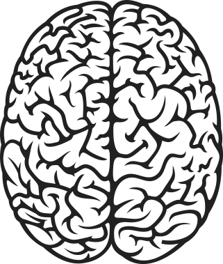 321x379 Collection Of Free Brain Vector Top View Download On Ui Ex - Brain Line Drawing