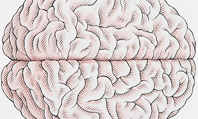 400x241 hits, not concussions, cause cte sph boston university - Brain Line Drawing