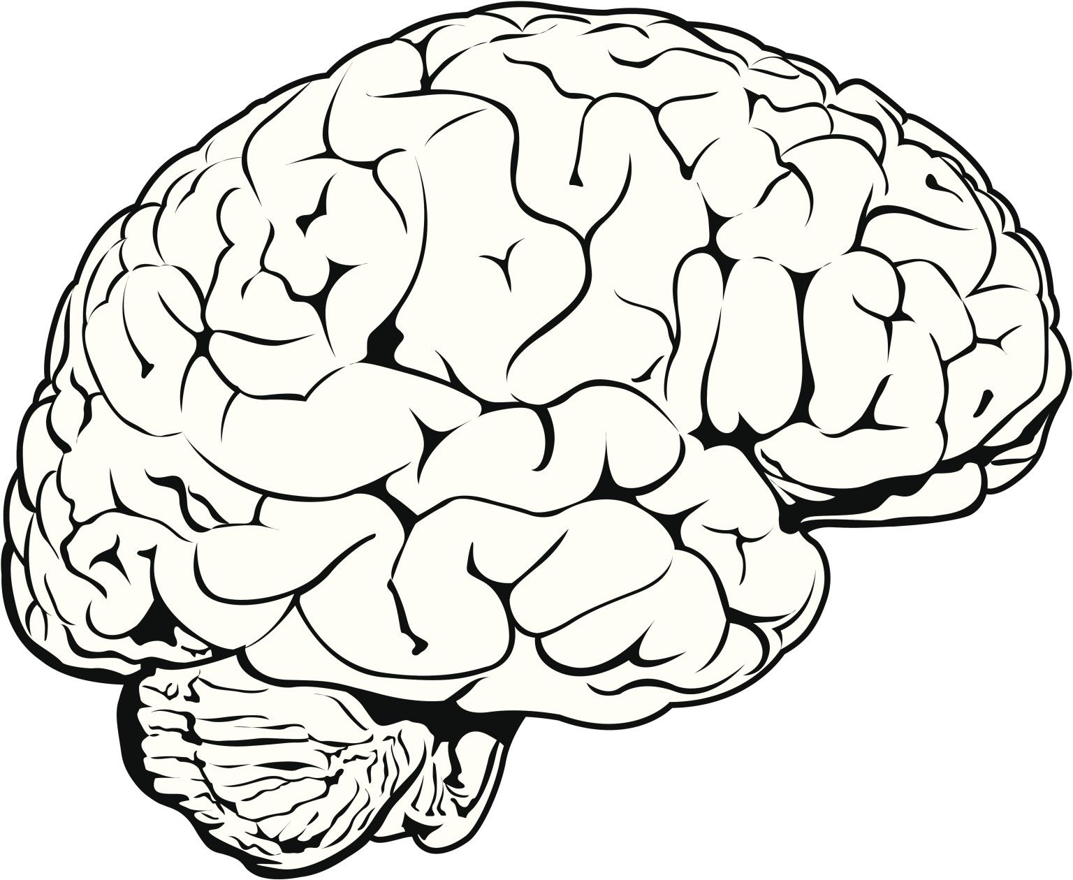 1536x1260 Brain Line Art Drawing - Brain Line Drawing