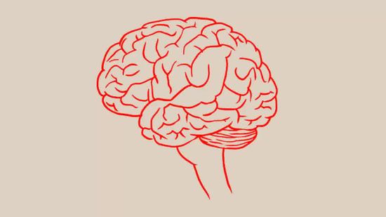 550x309 Ways To Draw A Brain - Brain Line Drawing