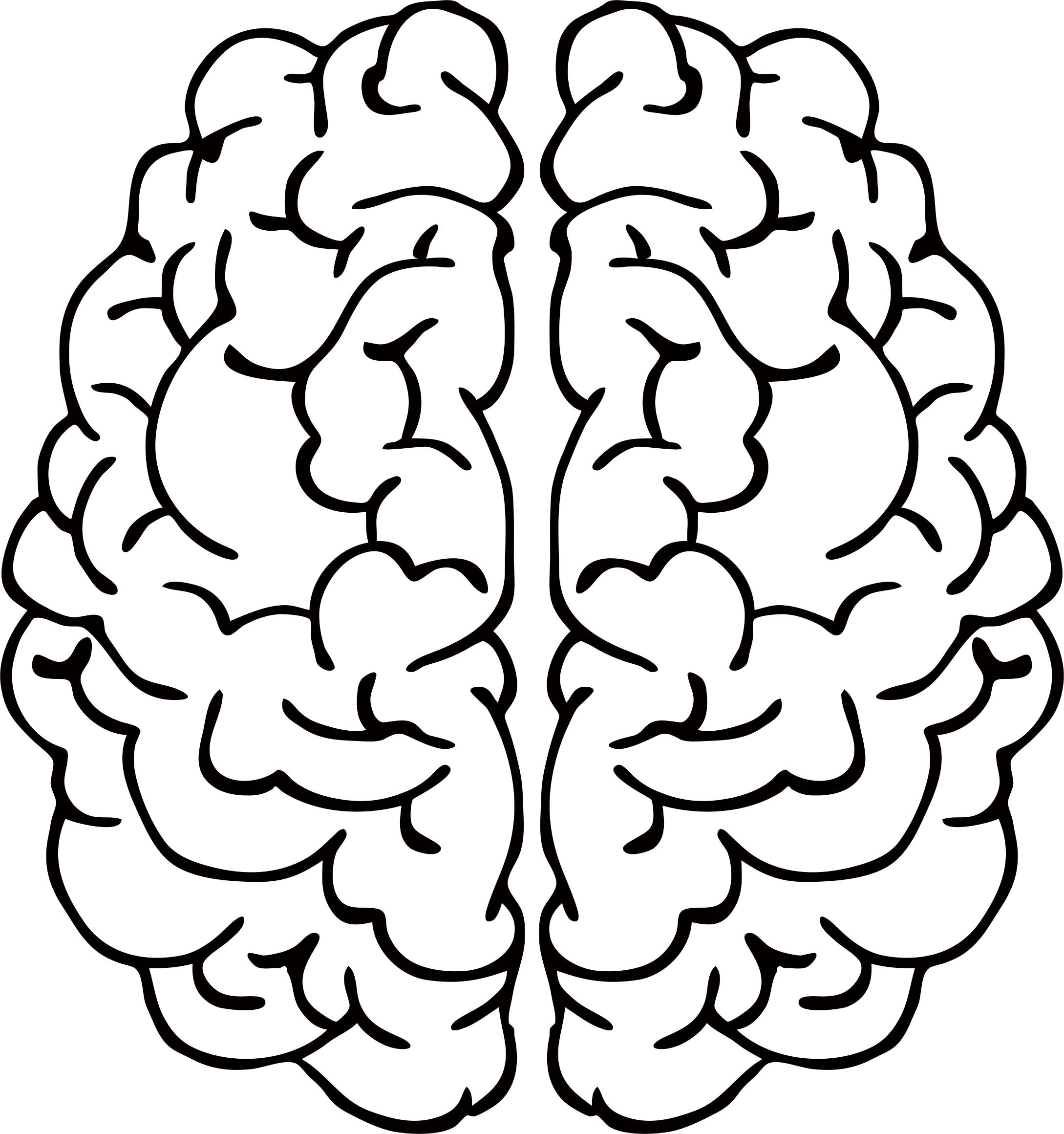 Brain Line Drawing at Explore collection of Brain