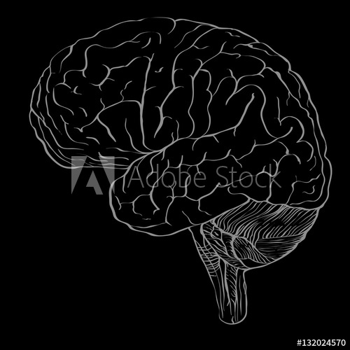 500x500 Profile Of Brain Drawn In Outline Drawing Style As The Blank - Brain Outline Drawing