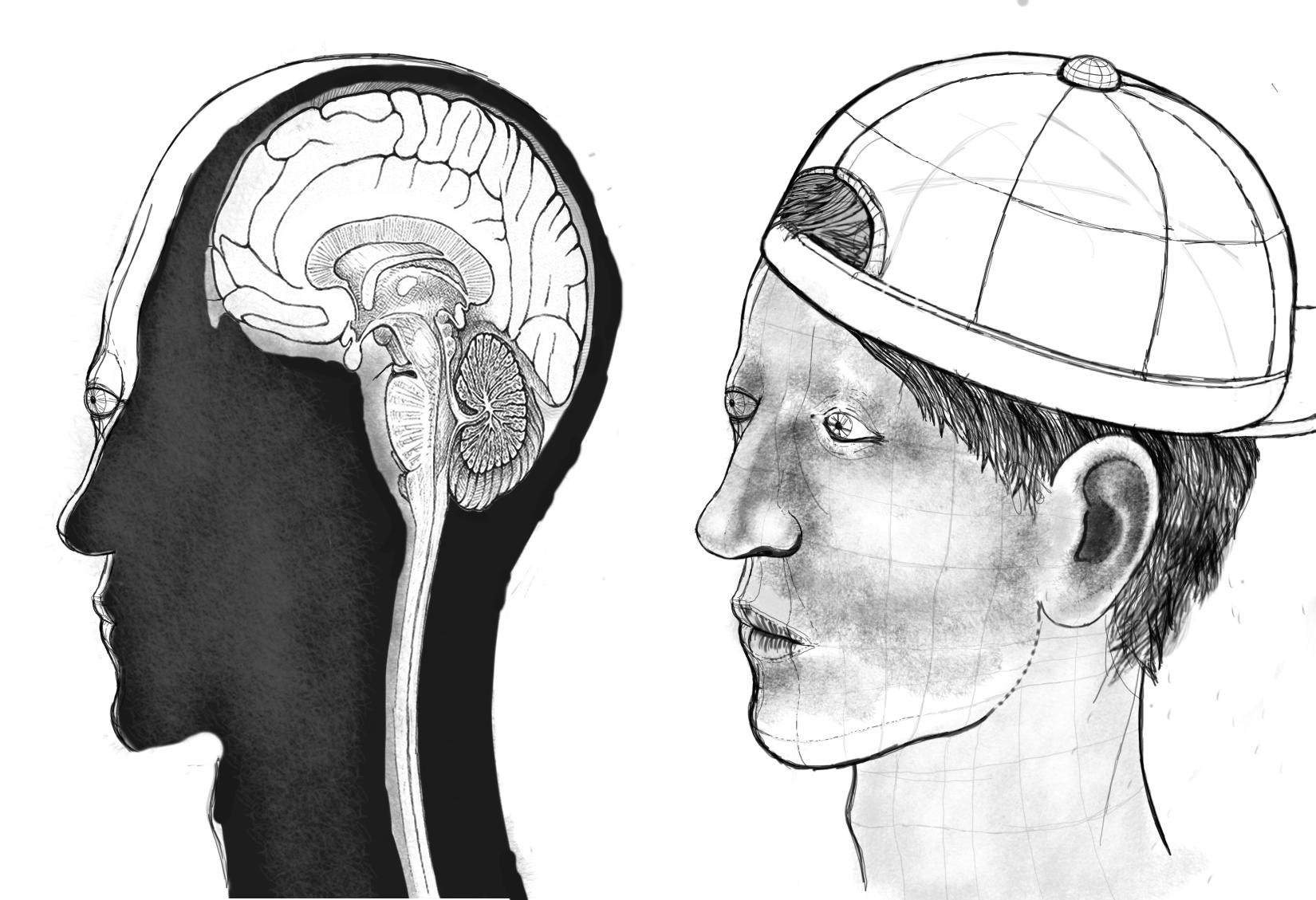 1650x1129 Art And Science - Brain Outline Drawing