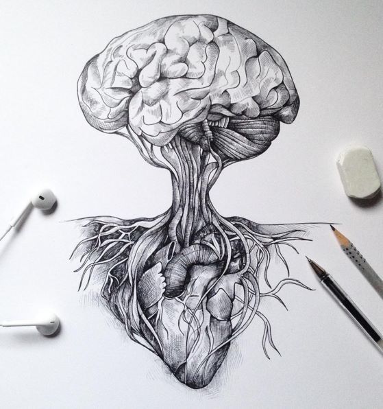 559x596 Brain As A Tree And Heart For Roots Art Tattoo Ideas Art - Brain Pencil Drawing