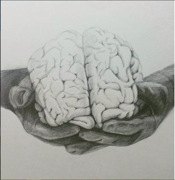 583x600 Cns On Twitter - Brain Pencil Drawing