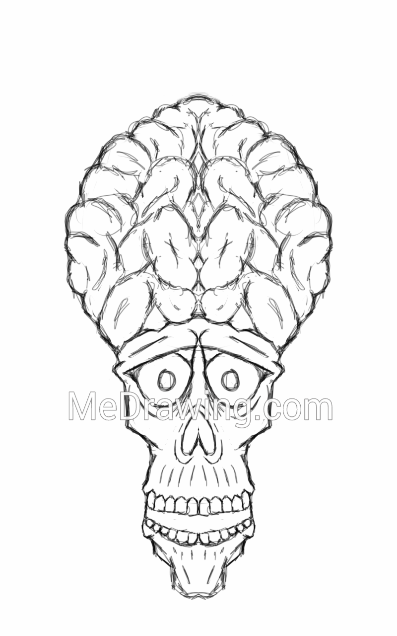 800x1280 Giant Brain Pencil Sketch - Brain Pencil Drawing