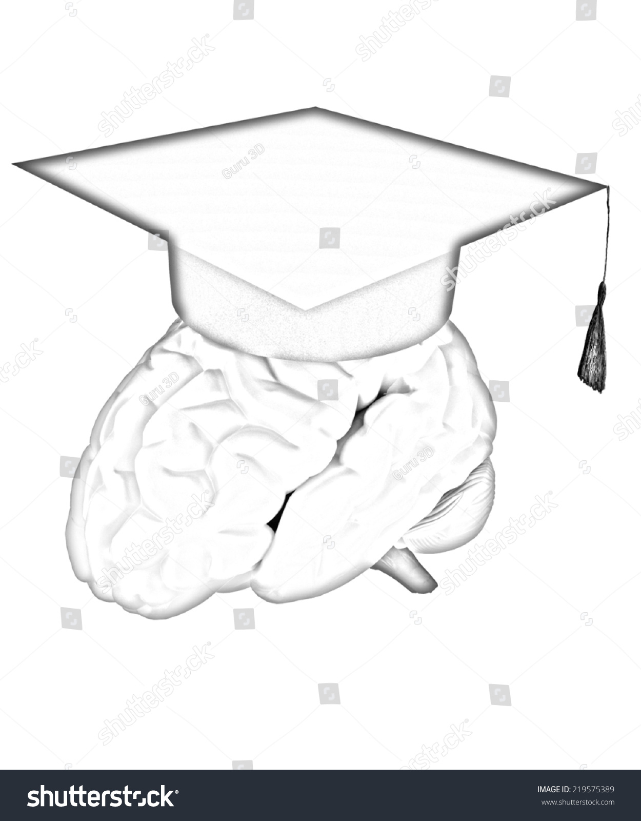 1250x1600 Pencil Sketch Of A Graduation Cap And Graduation Hat On Brain - Brain Pencil Drawing
