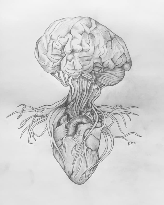 680x850 Pencil Drawing Artist Available - Brain Pencil Drawing