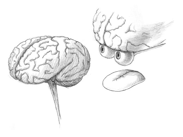 640x479 Photos Brain Picture Pincle Art - Brain Pencil Drawing