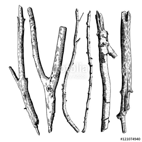 500x500 hand drawn twig branches set ink illustration wood twig - Branch Drawing