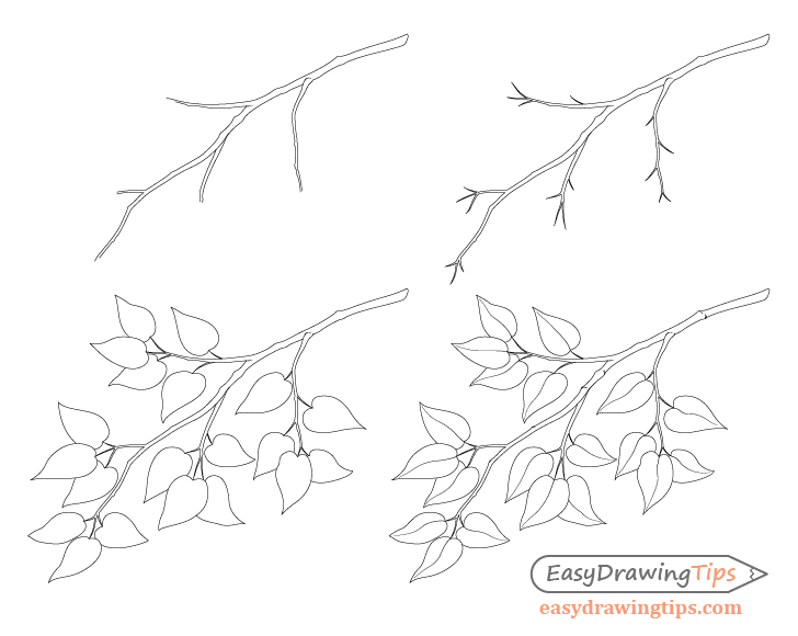 728x580 How To Draw A Tree Branch With Leaves - Branch Drawing