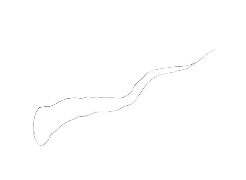 850x624 How To Draw A Tree - Branch Drawing