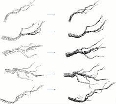 237x213 Image Result For Tree Branch Drawing Tips On How To Draw Tree - Branch Drawing
