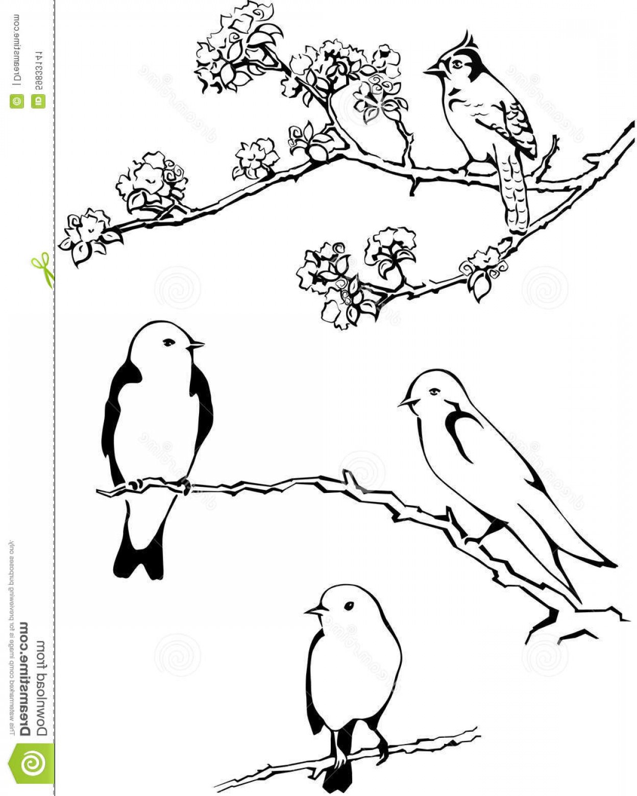 1248x1560 stock illustration bird branch vector birds twig flowers tree - Branch Drawing