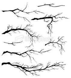 236x259 tree branch drawing projects to try art, drawings, branch - Branch Drawing
