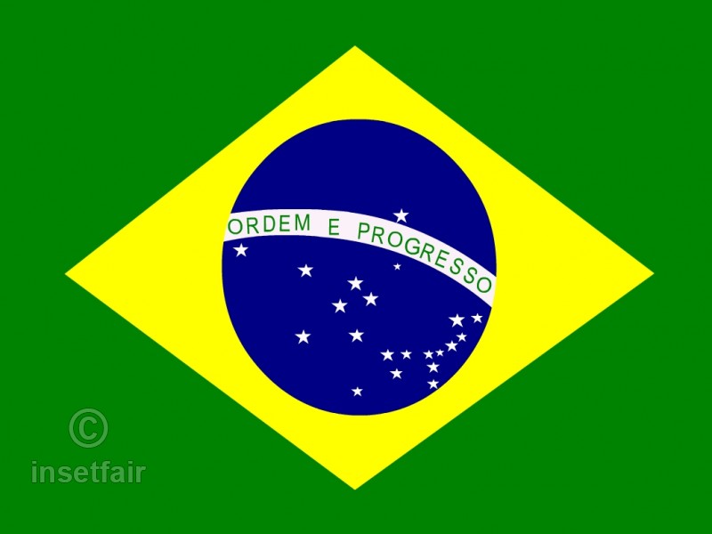 800x600 Brazil Flag Flash Vector Drawing - Brazil Flag Drawing