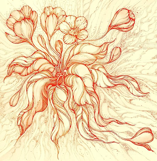 537x550 bridal bouquet hand drawn watercolor and ink drawing posters - Bridal Bouquet Drawing