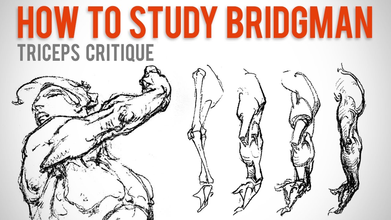 1280x720 how to study bridgman - Bridgeman Figure Drawing