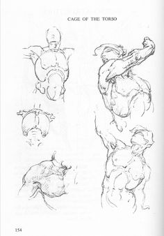 236x338 best bridgman torso drawings images anatomy drawing, life - Bridgeman Figure Drawing