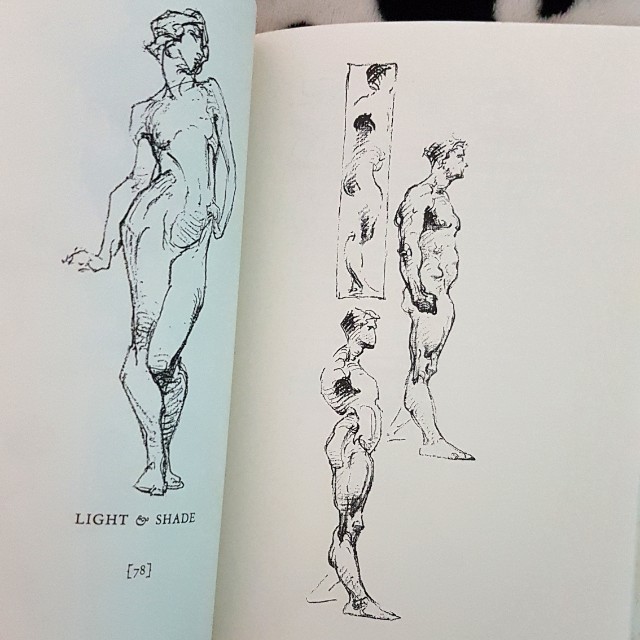 640x640 bridgman's life drawing - Bridgman Drawing