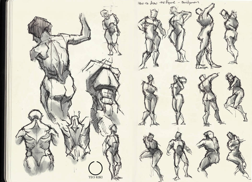 1051x760 bridgman - Bridgman Drawing