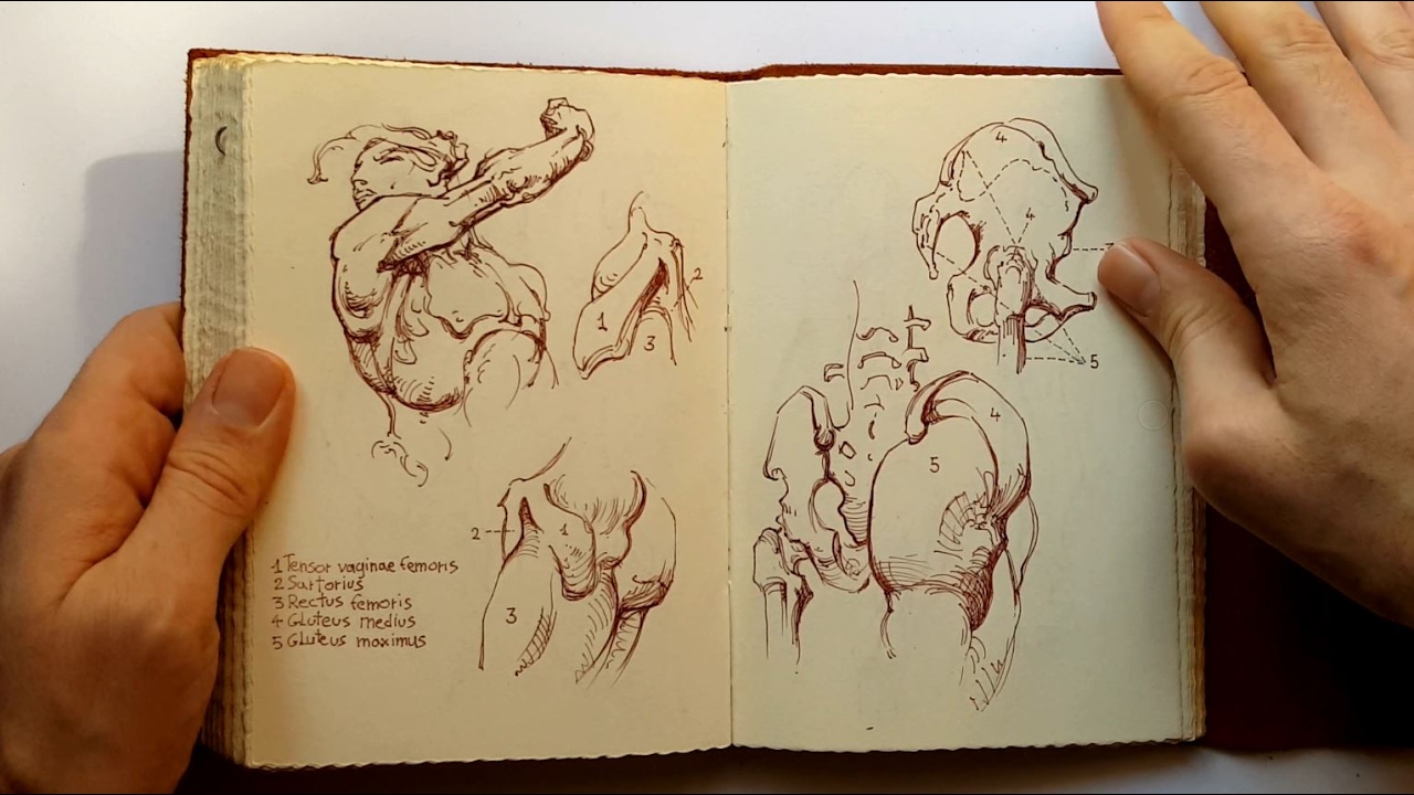 1280x720 sketchbook constructive anatomy george bridgman - Bridgman Drawing