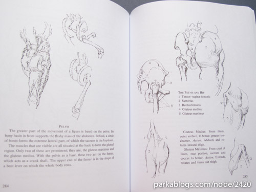 500x375 book review bridgman's complete guide to drawing from life - Bridgman Drawing